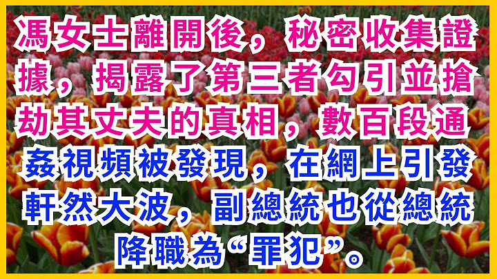 【情感故事】馮女士離開後，秘密收集證據，揭露了第三者勾引並搶劫其丈夫的真相，數百段通姦視頻被發現，在網上引發軒然大波，副總統也從總統降職為“罪犯”。#大女主#家庭#反轉劇情#婚姻真相#虐渣#全網熱播