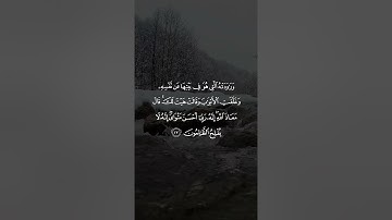 القارئ معاذ العيد - سورة يوسف - وَرَاوَدَتْهُ الَّتِي هُوَ فِي بَيْتِهَا عَنْ نَفْسِهِ 🌿