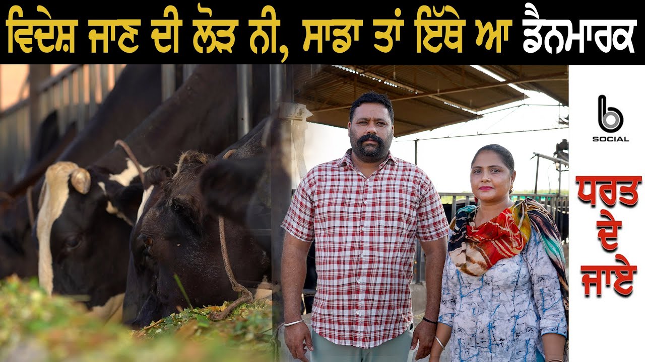 Dharat De Jaaye | EP 29 l Gurjant Singh Dhillon l Talvinder Kaur l Sarbjeet Singh Sidhu l B Social