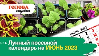 Голова садовая - Лунный посевной календарь на ИЮНЬ 2023