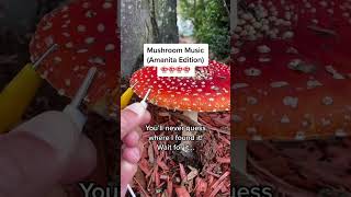 Modern Biology - Amanita mushroom music pt 4 🍄 The long version! #mushroom #plants #synth #amanita