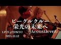 【LIVE】 ビーグルクルー『栄光の未来へ』 〜Acoustic ver.〜