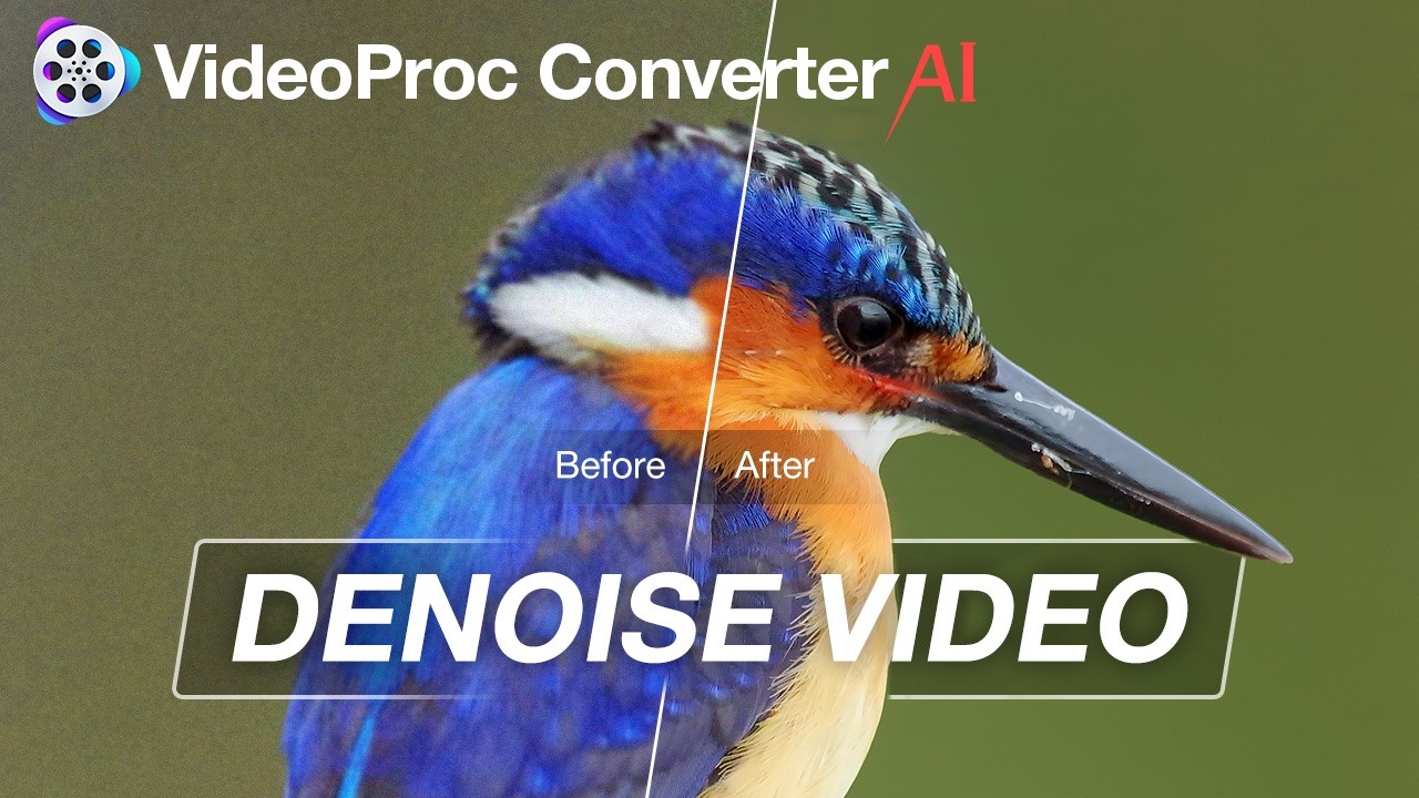 Uploads from VideoProc Converter Official