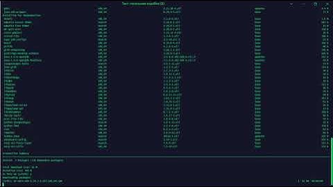 error mine Error: Failed to launch the browser process! puppeteer