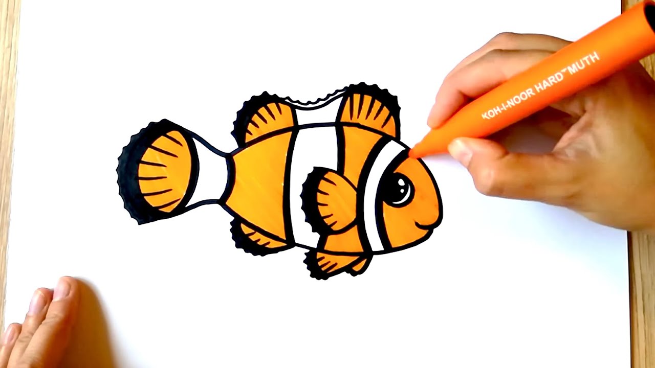 HOW TO DRAW a clownfish  coloring with markers  YouTube