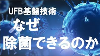 【解説】なぜ除菌できる？オゾンウルトラファインバブル水の基盤技術