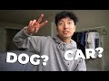 Living Alone Diaries // Getting a Dog & New Car?