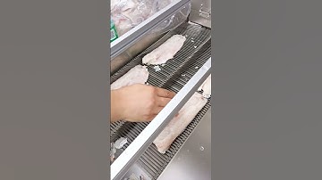 Fish slicing machine for basa fish