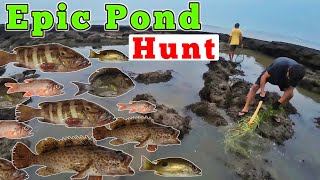 Traditional Goan Fishing Adventure | Sea & Pond Hunting Technique | Night and Day fishing video 🌴🐠🌊🎣