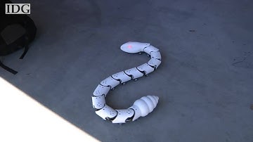 Nagaina robot snake slivers at the Robot Block Party