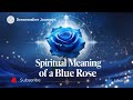Spiritual Meaning of a Blue Rose | Mystery, Miracles & the Impossible Made Real