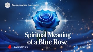 Makna Spiritual Mawar Biru | Misteri, Mukjizat & Hal yang Mustahil Menjadi Kenyataan