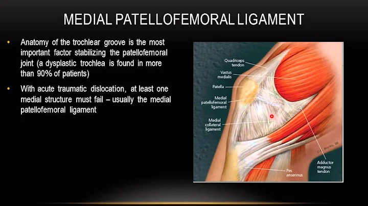 PATELLAR INSTABILITY  www.ezcontinuingeducation.org  Perry J. Carpenter DC QME