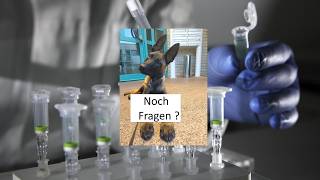 DNA-Analyse von Wal Timmy Hope : Die Fragen aus der Community und unsere Antworten