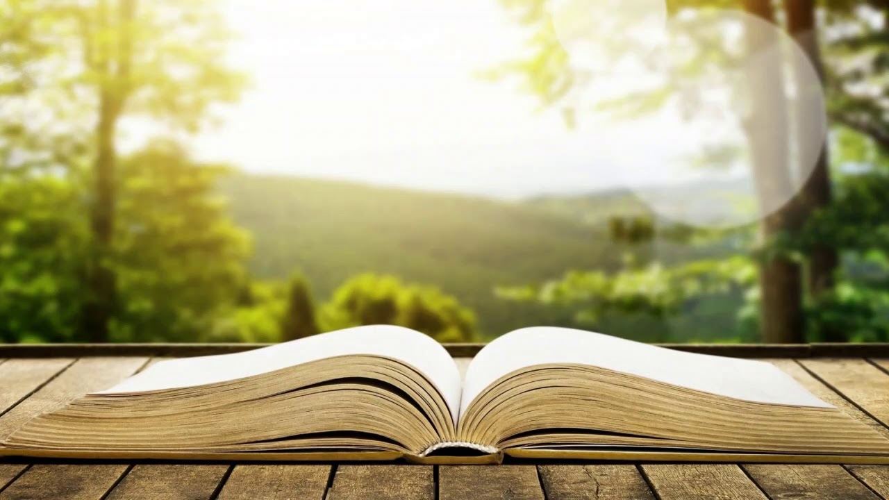 Study Background Music | Meditation Music | - YouTube