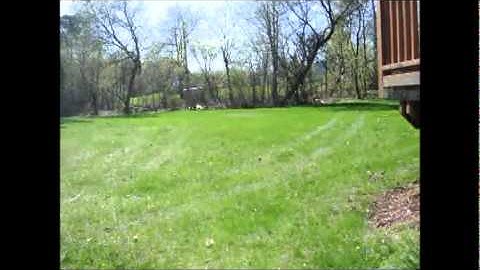 Etek 3 LT w/ Zick2 Shooting