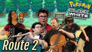 Pokémon Black and White - Route 2 Chamber Ensemble Cover