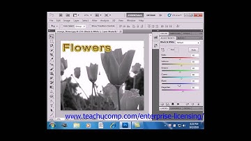 Photoshop CS6 Tutorial Adjustment Layers & Fill Layers Adobe Training
