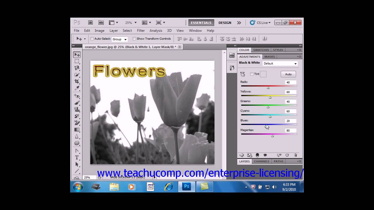 Photoshop CS6 Tutorial Adjustment Layers & Fill Layers Adobe Training ...