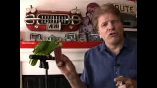 Magic with a parrot - 2008-04-04