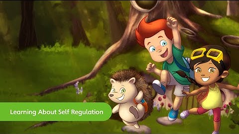Learning About Self Regulation