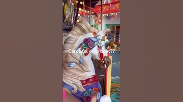 Carousel On A Boat??