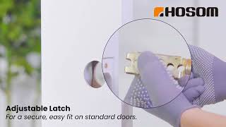 HOSOM ｜ Add Style & Privacy with the HOSOM Gold Privacy Lever Lock!