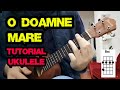 O Doamne mare | tutorial ukulele (chord & rhythm)