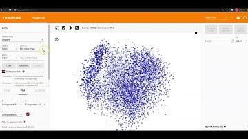 18  Embedding Projector
