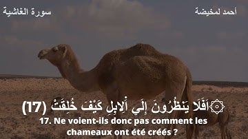 سورة الغاشية  مكتوبة برواية ورش باللغة الفرنسية Sourate  L'ENVELOPPANTE avec traduction français