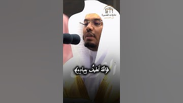 ﴿اللَّهُ لَطيفٌ بِعِبادِهِ يَرزُقُ مَن يَشاءُ وَهُوَ القَوِيُّ العَزيزُ﴾ ~ آية عظيمة وتلاوة جميلة