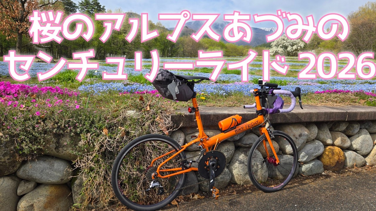 ミニベロで行く桜のAACR2026【桜のアルプスあづみのセンチュリーライド