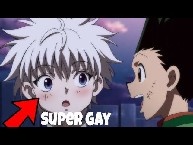 Is Killua and Gon gay????? super confused?????