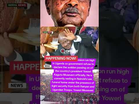 Breaking News: The Nohemyoro Leak And Its Surprising Aftermath