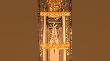 المصحف الشريف القرآن الكريم سورة البقرة الآيات من٦٧ إلى٧١ #المصحف_الشريف #القرآن_الكريم #سورة_البقرة