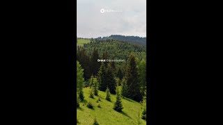 Heres Jesus Challenge To You Today