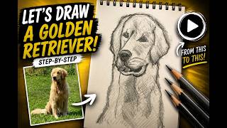 Let's Draw a Golden Retriever!!