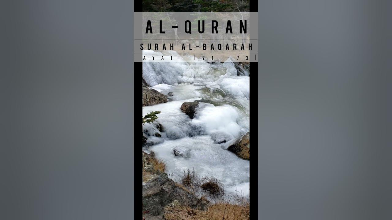 Surah Al Baqarah Verses 71 To 73 Surah Al Baqarah Quran In Urdu surah-al-baqarah-verses-71-to-73-surah-al-baqarah-quran-in-urdu