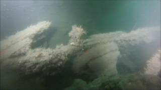 Le Bateau feu 19 06 2017 by loïc Le Cointe 134 views 6 years ago 3 minutes, 56 seconds