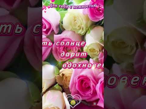ЛЕГКАЯ ОТКРЫТОЧКА С НЕЖНОСТЬЮ 🥰 #лучшее #видео #поздравление #радость #подпишись #shorts #шортс #топ