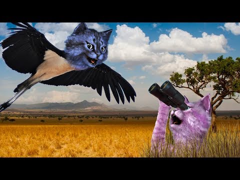 Видео: Я ЛЕЧУ!!! / ДИКАЯ САВАННА в РОБЛОКС / Wild Savanna ROBLOX