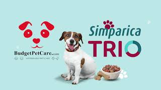 Simparica Trio for Dogs | Your Pet's Parasite Protector by BudgetPetCare 67 views 8 months ago 37 seconds