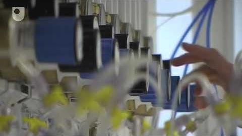 The Peatbog Problem - Ecosystems: The Carbon Cycle (3/3)