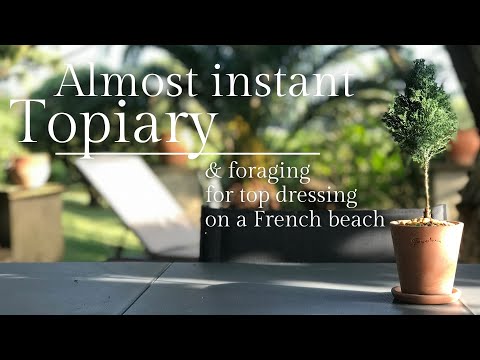 Video: Kuinka Tehdä Upea Topiary Lapsesi Kanssa