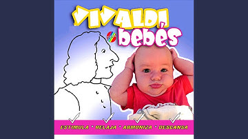 Violin Concerto in G Minor, RV 324: II. Grave