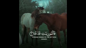 ((والعاديات ضبحاً)) تلاوة جميلة 💛✨