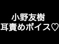 【小野友樹×耳責めボイス】『酷くされたいの...?アンタがそう望むなら...』