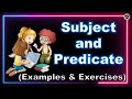 Understanding Subjects and Predicates