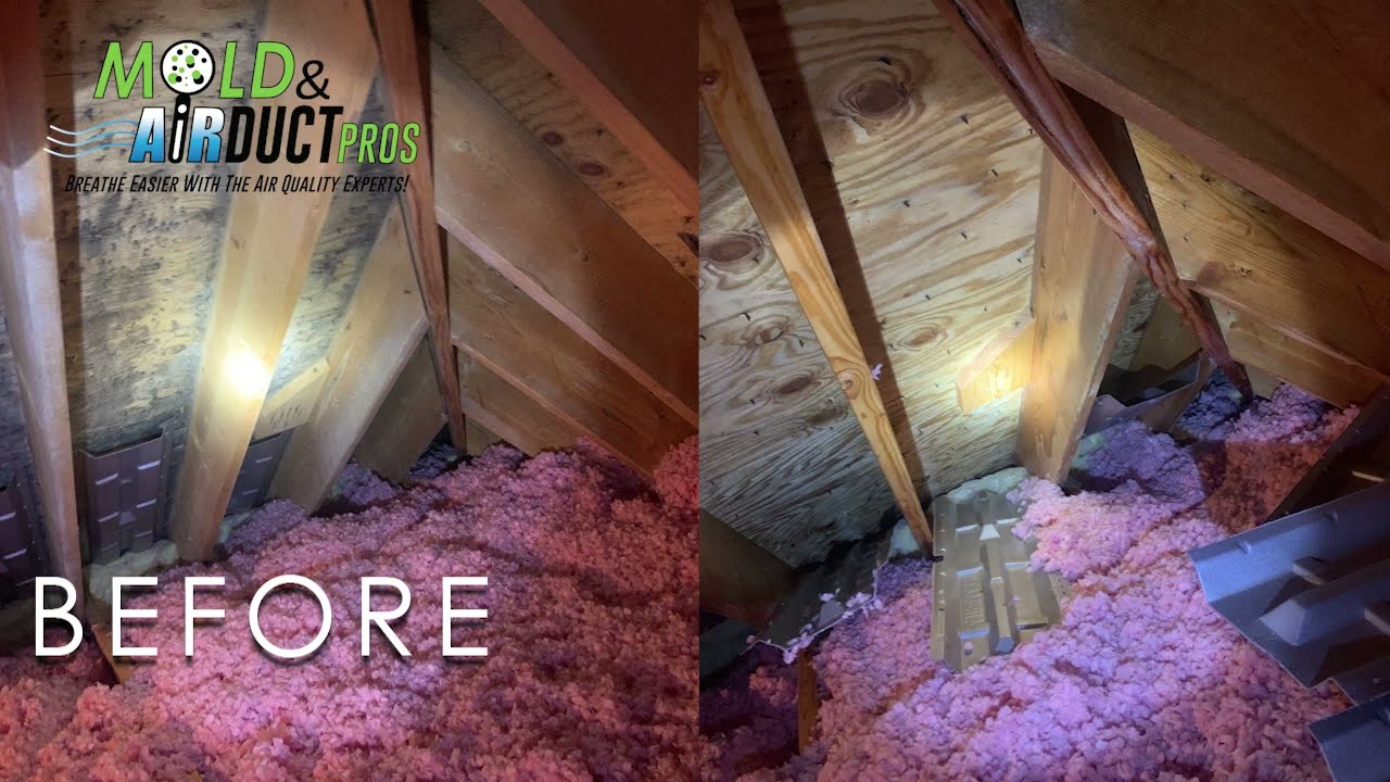 Mold & Air Duct Pros