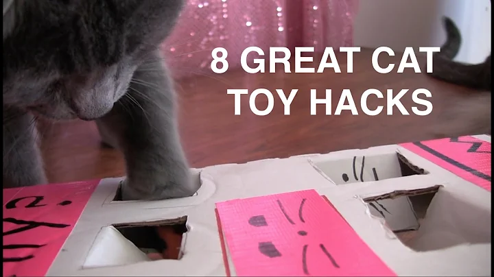 8 Great Cat Toy Hacks